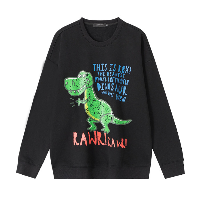 Dinosaur Embroidery Sweater for Women - Loose Fit Top
