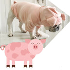 Creative Pig Sweater for Cats and Dogs (New Year)