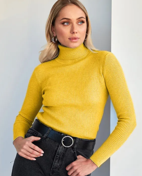 Women's Knitwear Turtleneck Pullover | Streetwear