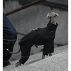 Windproof Jacket for Dogs - Punching Raincoat Design