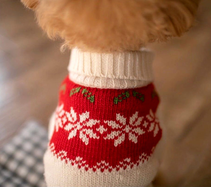 VIP Schnauzer Dog Knitted Sweater
