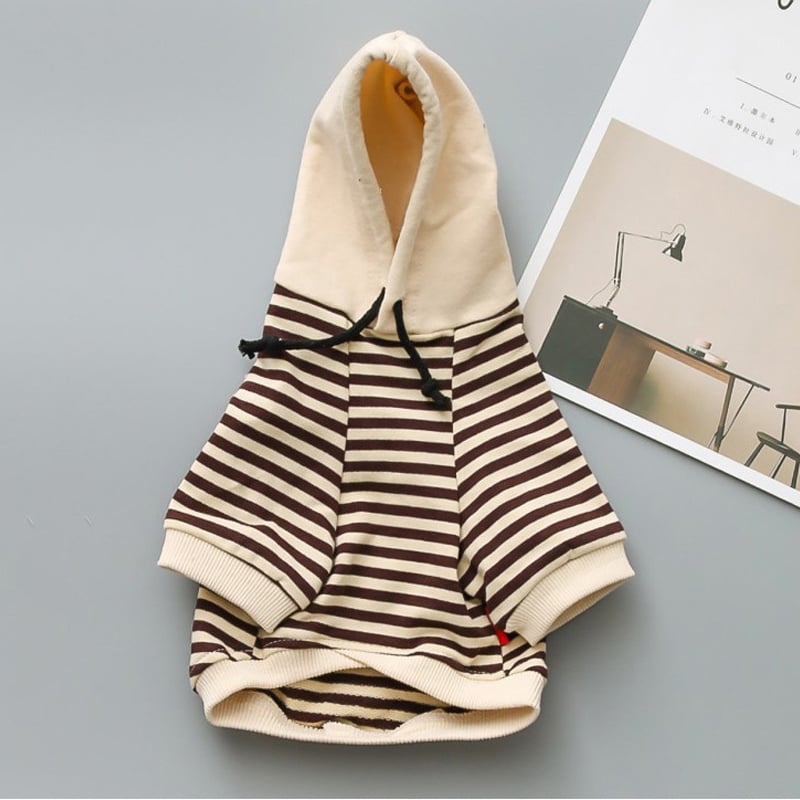 Small Dog Fashion Terry Sweater by Teddy Brand
