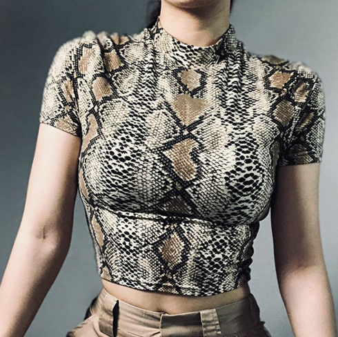Snake Print Short Sleeve Crop Top