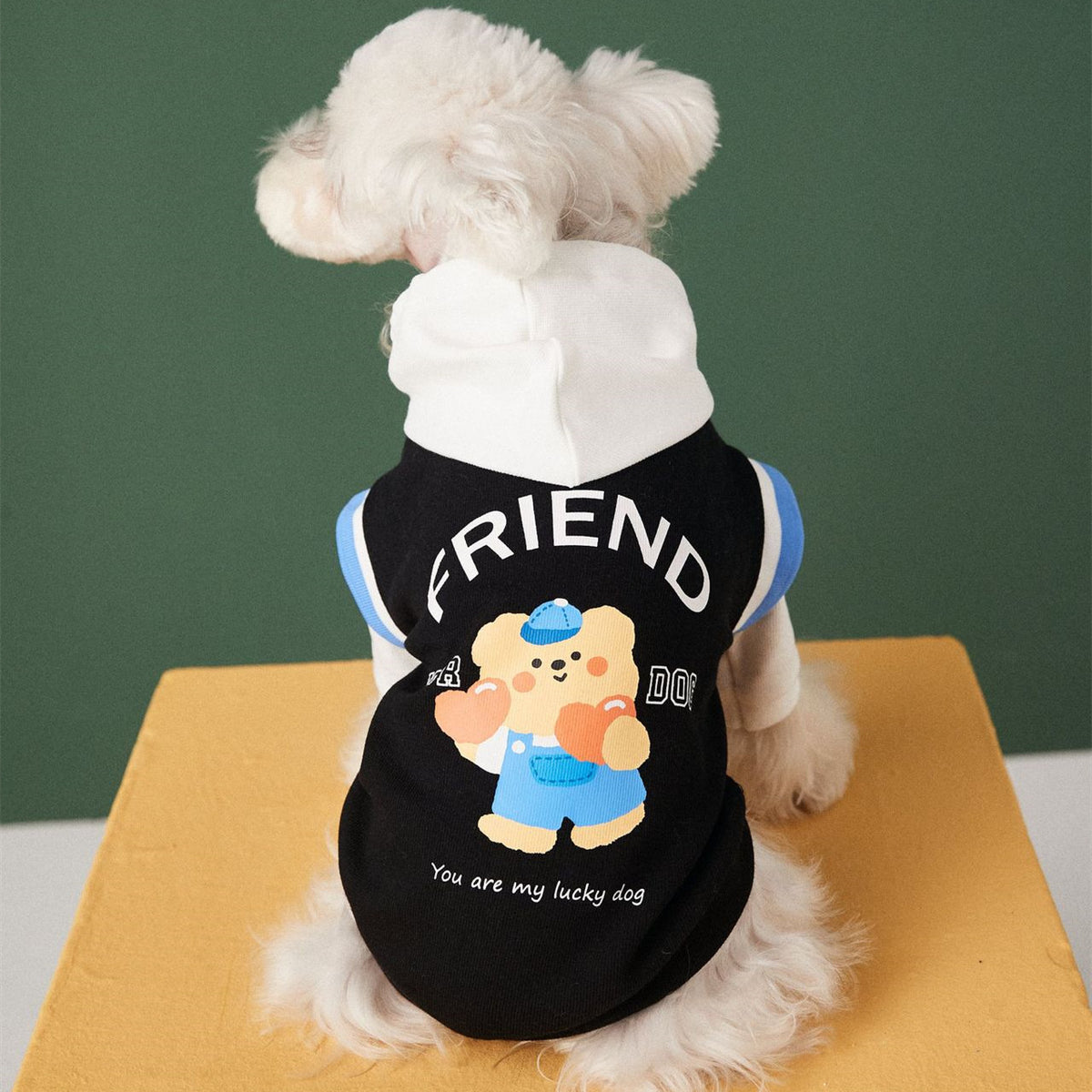 Contrast Color Pet Sweater for Autumn and Winter