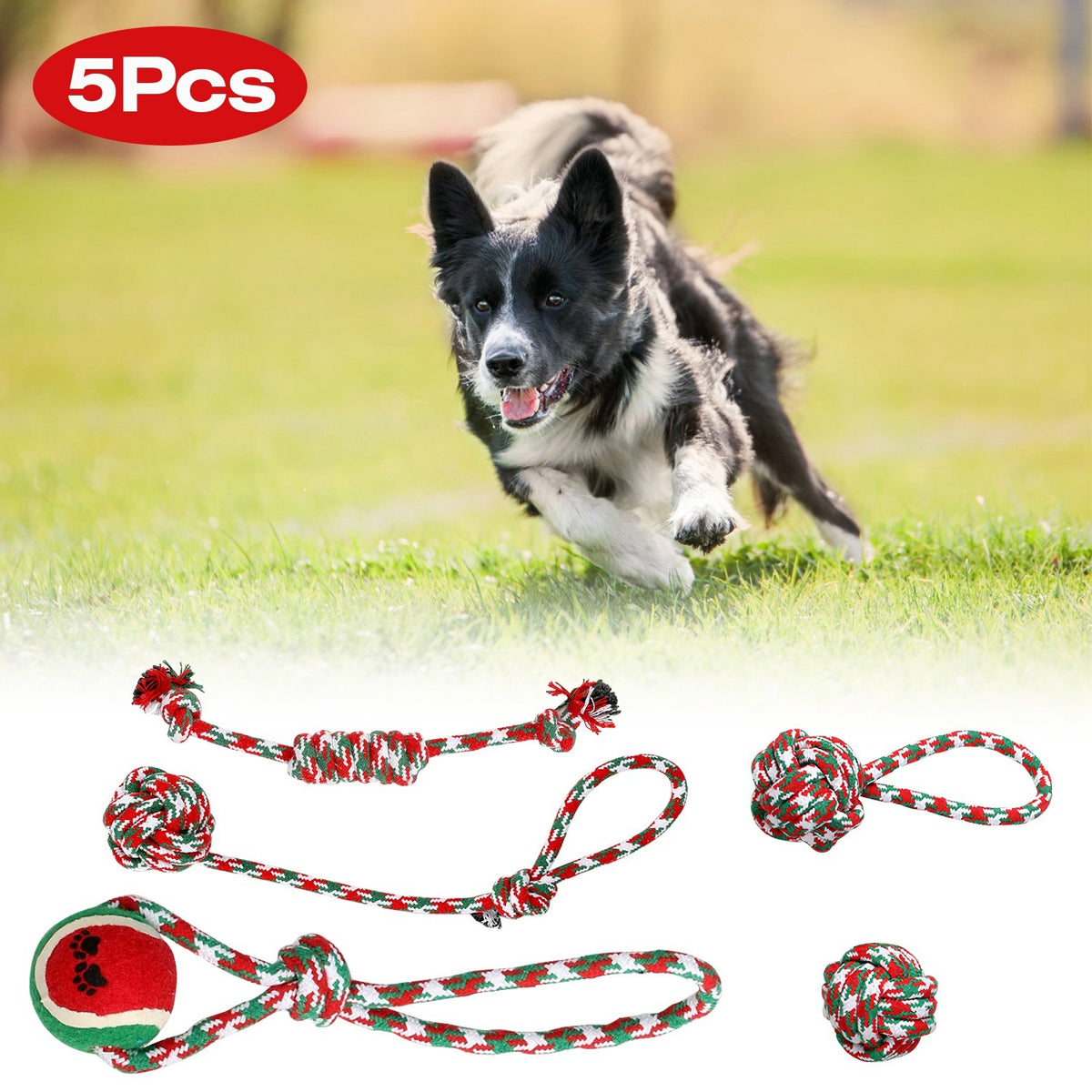 5Pcs Christmas Dog Rope Chew Toys Set