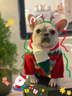 Pet Christmas Sweater for Dogs and Cats