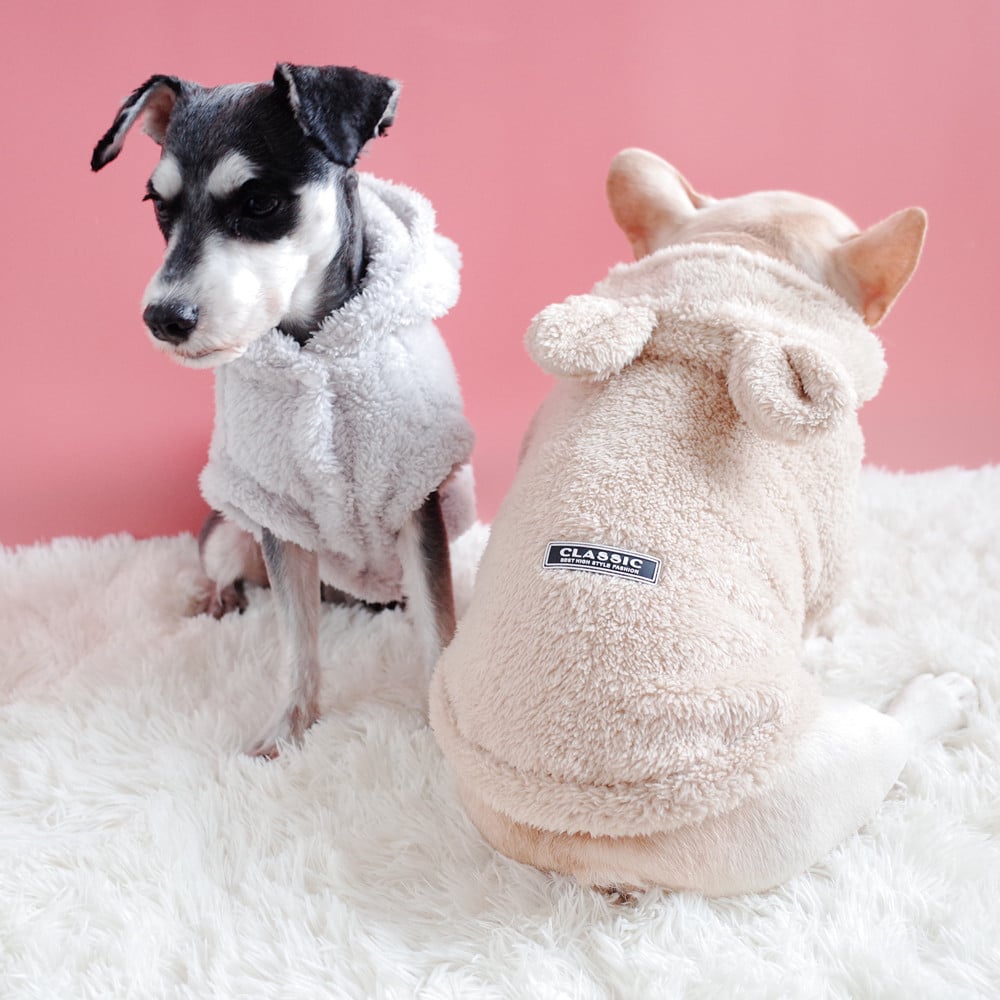 Coral Fleece Bear Hooded Vest for Schnauzers