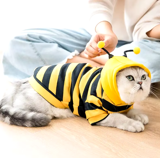 Cute Sweater Puppy Dog Clothes
