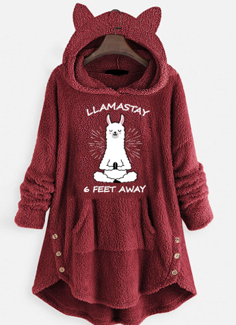 Plush Hooded Pullover Sweater with Cat Ears