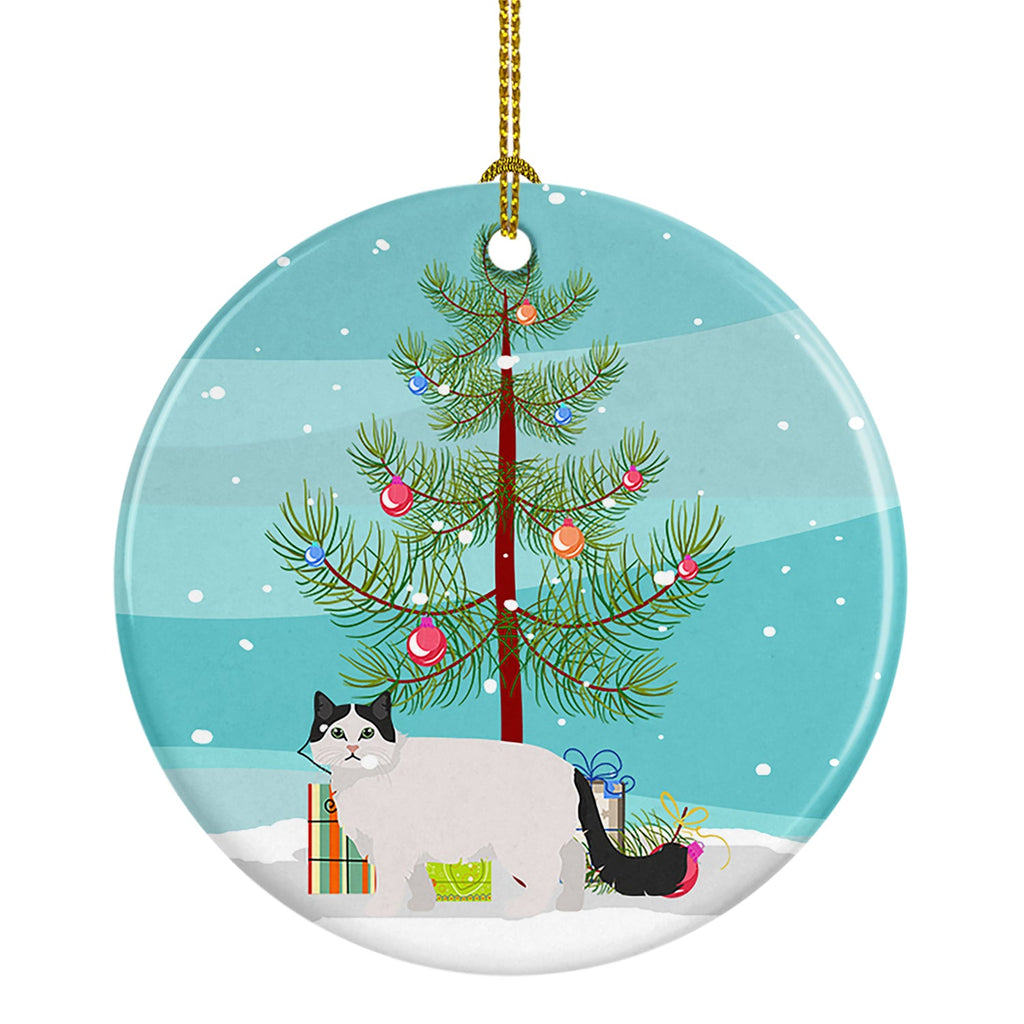 Ragamuffin Cat Christmas Ceramic Ornament