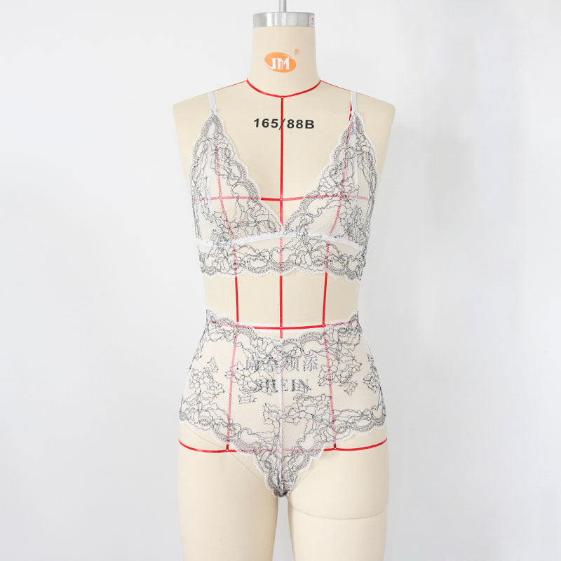 Plus Size Sheer Lingerie Set with Bra and Panties