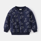 Cute Boy's Blue Grey Long Sleeve Pullover Sweatshirt | Streetwear
