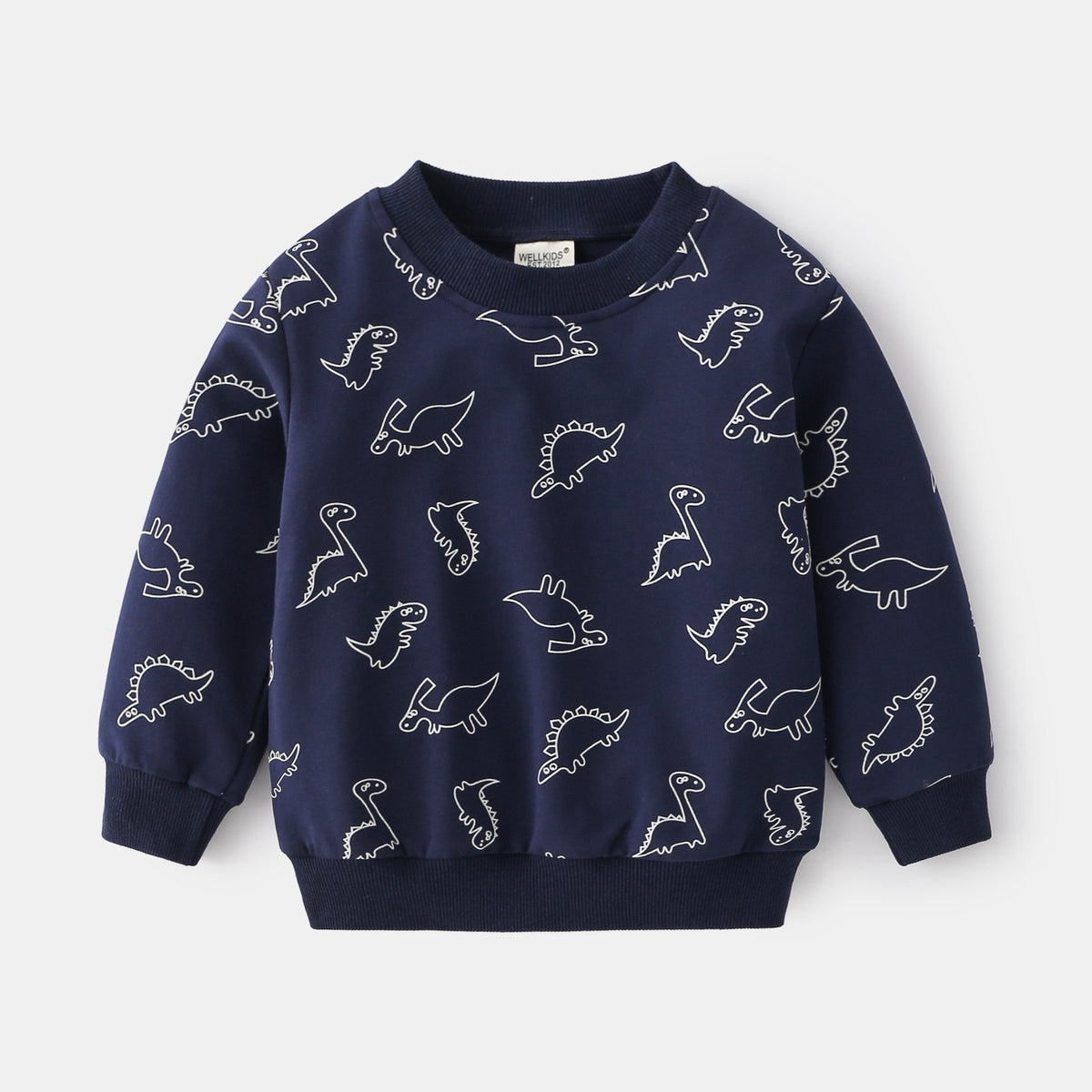 Cute Boy's Blue Grey Long Sleeve Pullover Sweatshirt | Streetwear