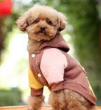 Autumn Coat for Small Dogs Keeps Them Warm