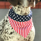 American Flag Pet Triangle Scarf and Towel for Dogs