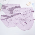 4-Piece Set Women's Cotton Low Waist Maternity Panties