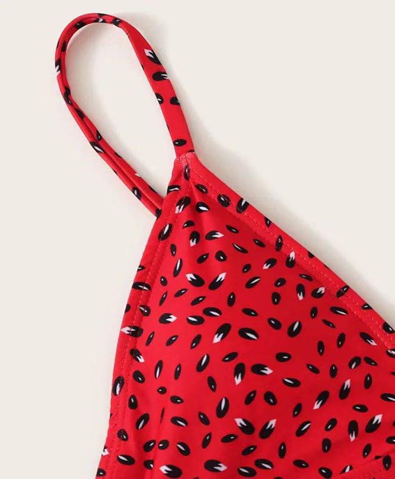 2019 New Watermelon Print Women's Bikini Swimsuit