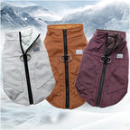 Thickened Teddy Jacket for Small to Medium Dogs