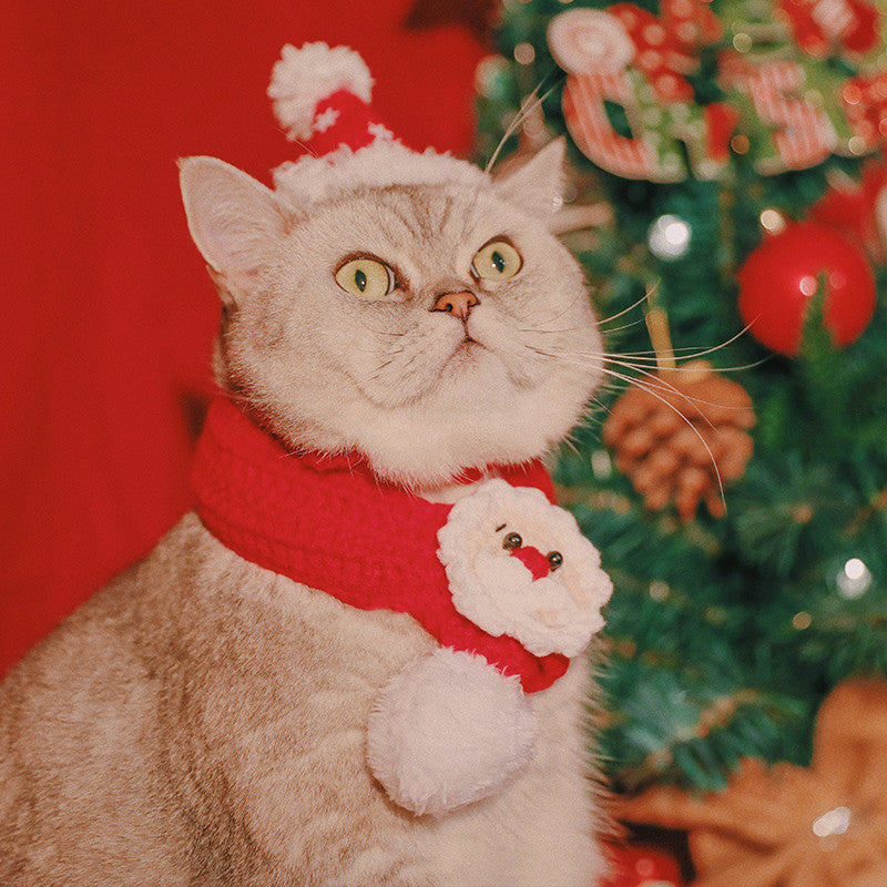 Hand Woven Pet Christmas Hat