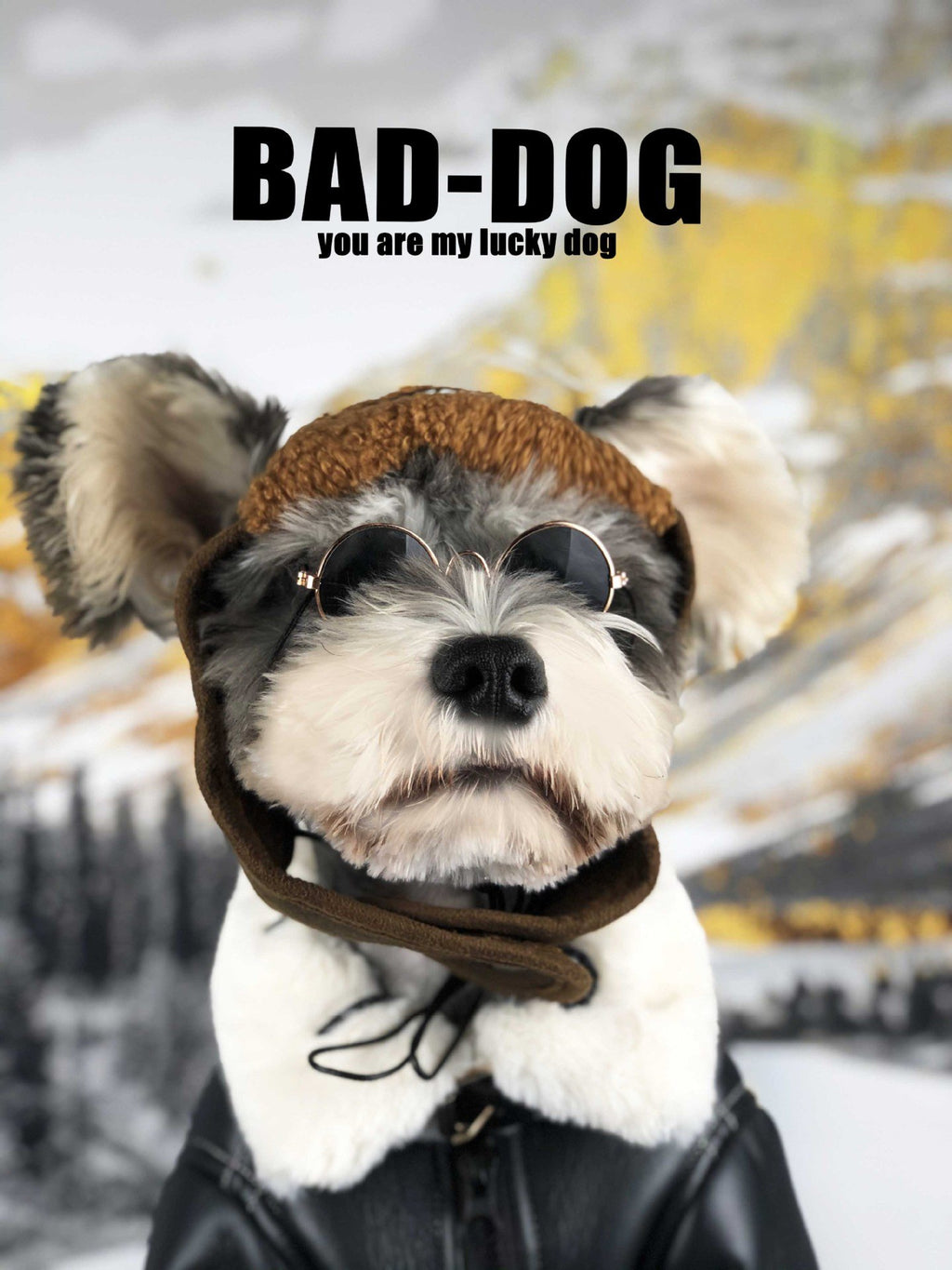 Fashionable Thick Winter Fur Coat for Dogs