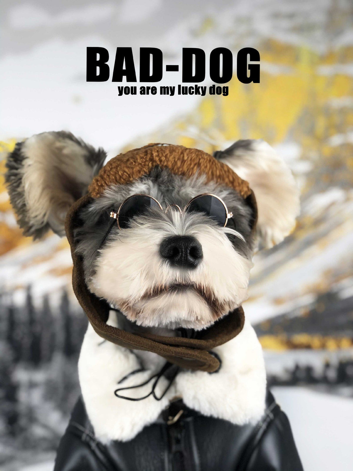 Fashionable Thick Winter Fur Coat for Dogs