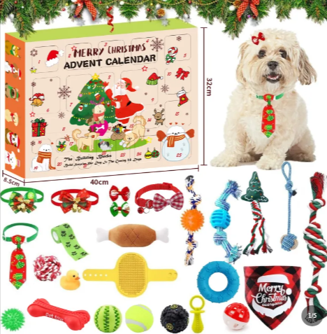 Christmas Dog Toy Gift Box