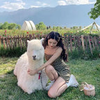 Comely Summer Overall Dress for Fashion Lovers