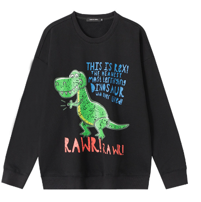 Dinosaur Embroidery Loose Women's Sweater - Long Sleeve