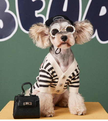 Striped Sweater Cardigan for Small Dogs