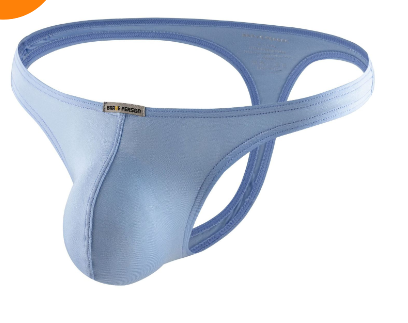 Ice Silk Mesh Briefs and Hipster Panties