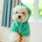 Simple Pet Warm Hoodie for Home Fashion