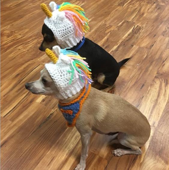 "Yarn Beanie for Pets - Unicorn Design"