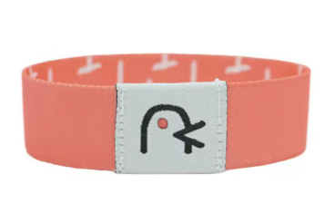 Daily Bible Bracelet