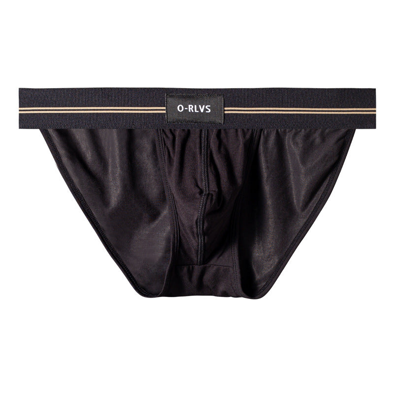 Men's Sheer Low-Rise Bikini Briefs