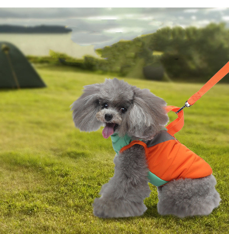 Winter Dog Cotton Padded Coat for Warmth