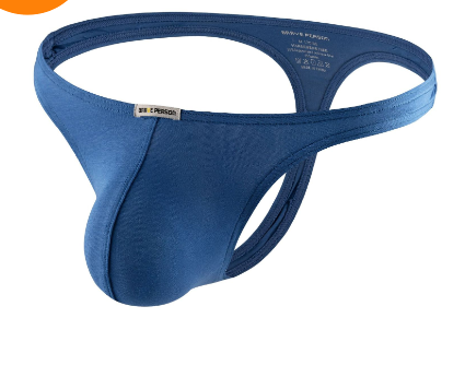 Ice Silk Mesh Briefs and Hipster Panties