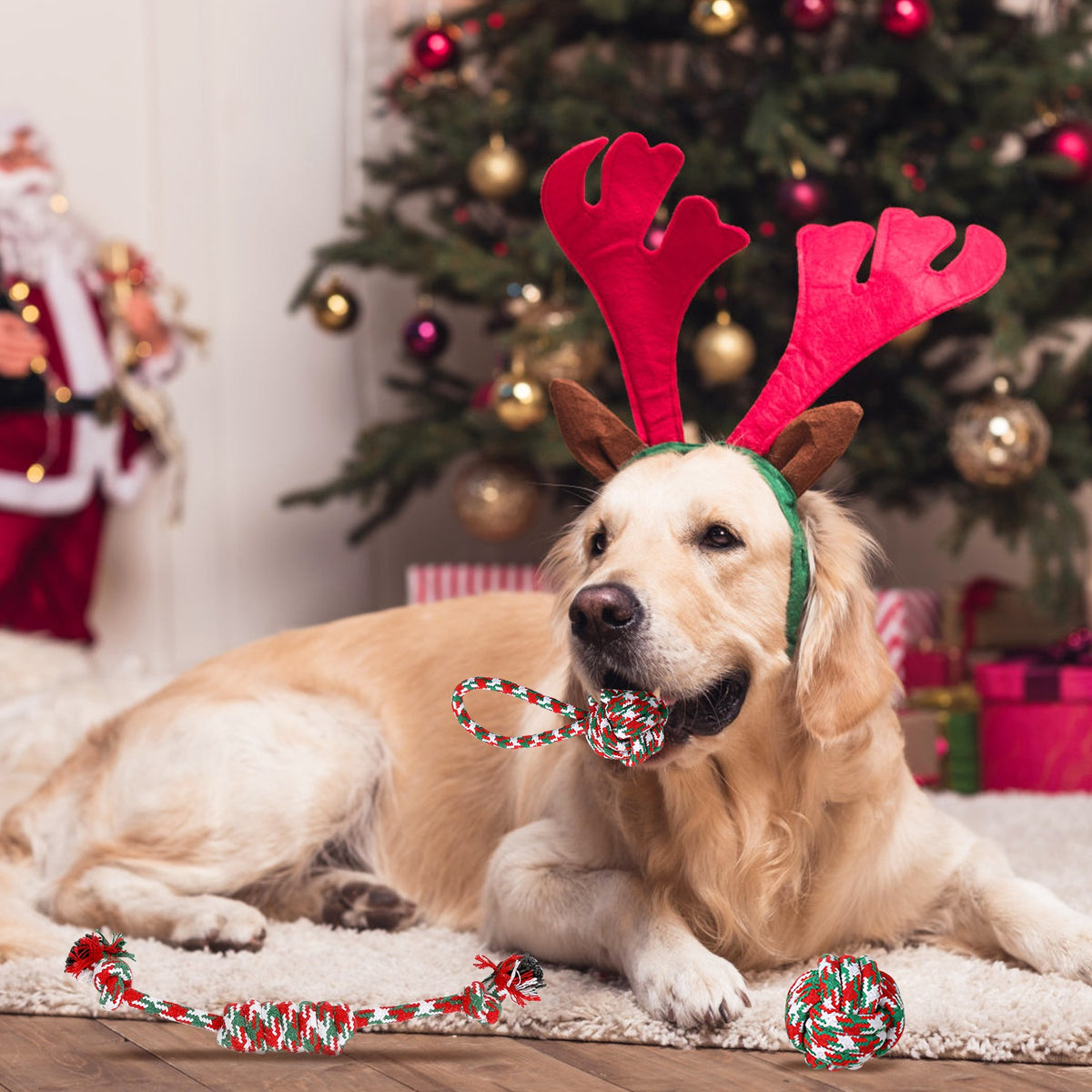 5Pcs Christmas Dog Rope Chew Toys Set