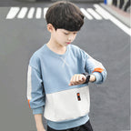 Boys' Cotton Hoodie Jacket for Spring and Fall 2024 | Streetwear
