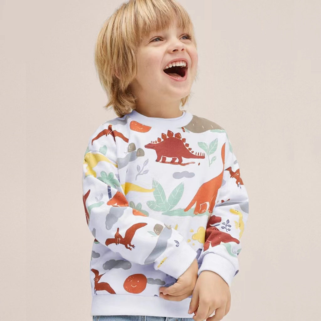 Cotton Dinosaur Hoodie for Boys with Long Sleeves | Streetwear