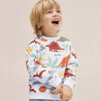 Cotton Dinosaur Hoodie for Boys with Long Sleeves | Streetwear