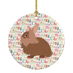 Lionhead Rabbit Christmas Ceramic Ornament