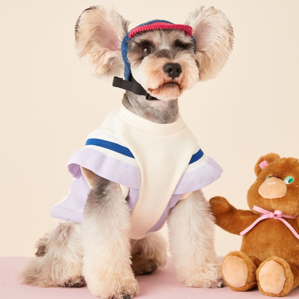 Padded Sweatshirt for Puppies in Autumn and Winter