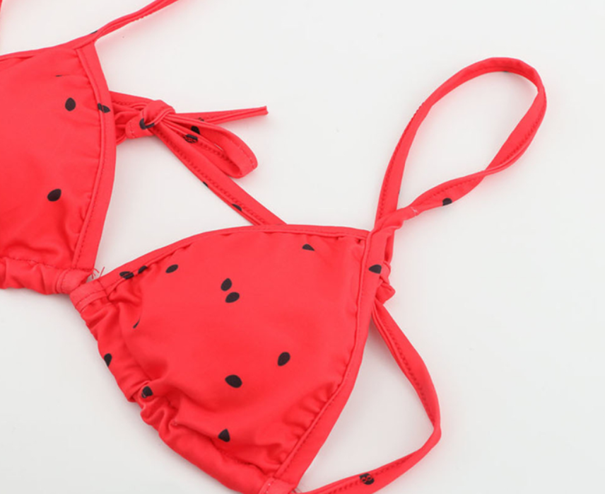 Women's Watermelon Print Triangle Bikini Set