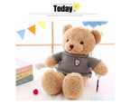 Teddy Bear Sweater Cartoon Plush Toy Doll