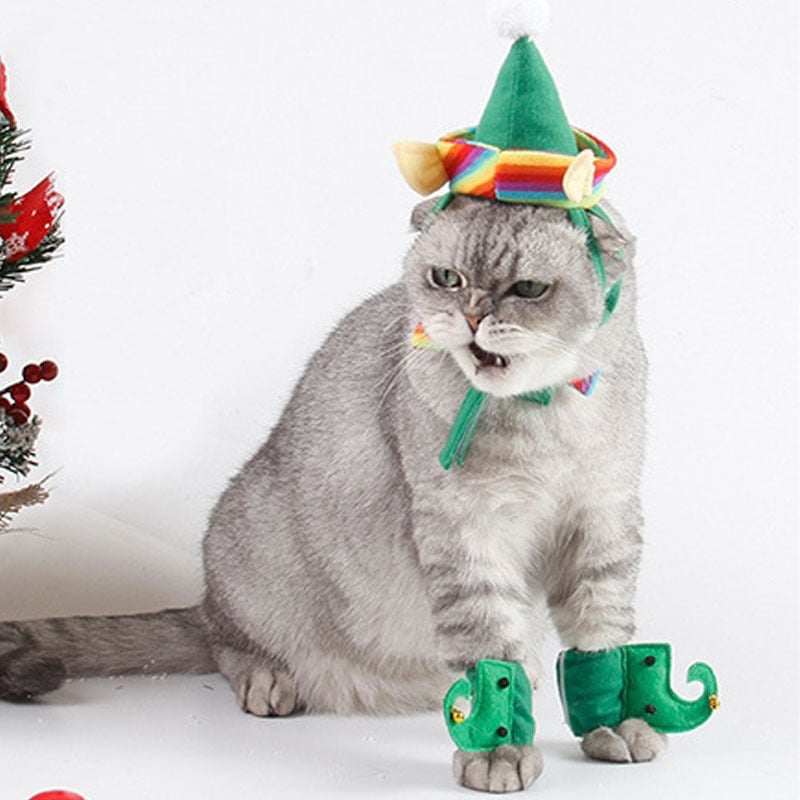 Dog Christmas Hat with Green Foot Covers (4-Piece Set)