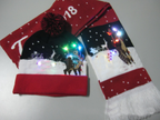 Scarf and Hat Set with LED and Reindeer Design | Embroidered Cap