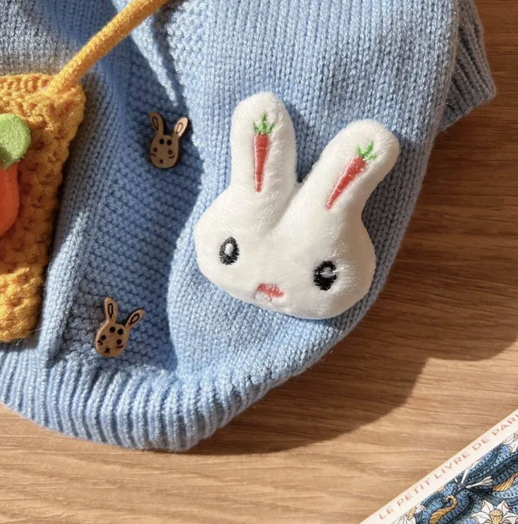 Warm Knitted Cartoon Pet Sweater