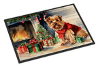 Norfolk Terrier Cozy Christmas Doormat