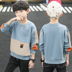 Boys' Cotton Hoodie Jacket for Spring and Fall 2024 | Streetwear