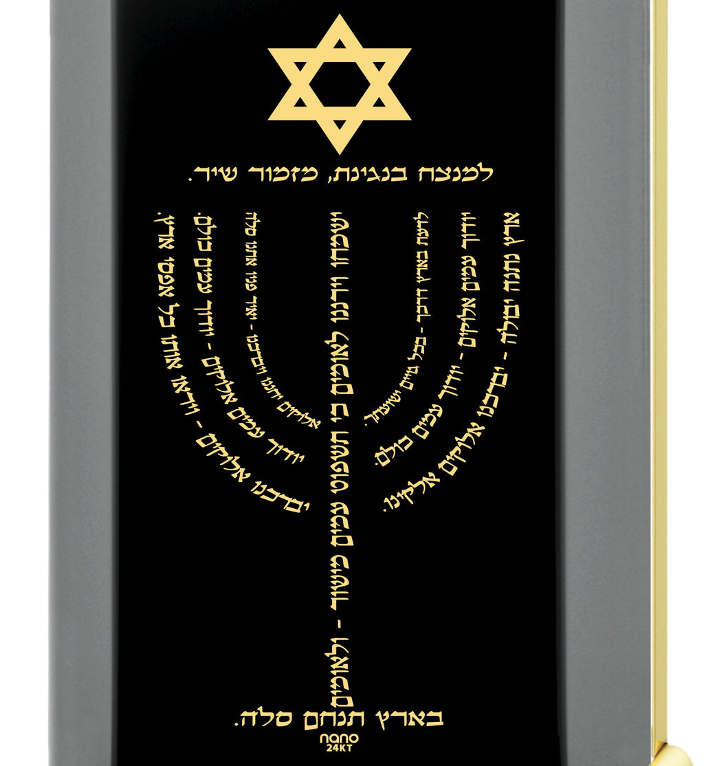 Men's Star of David Menorah Pendant Necklace on Onyx